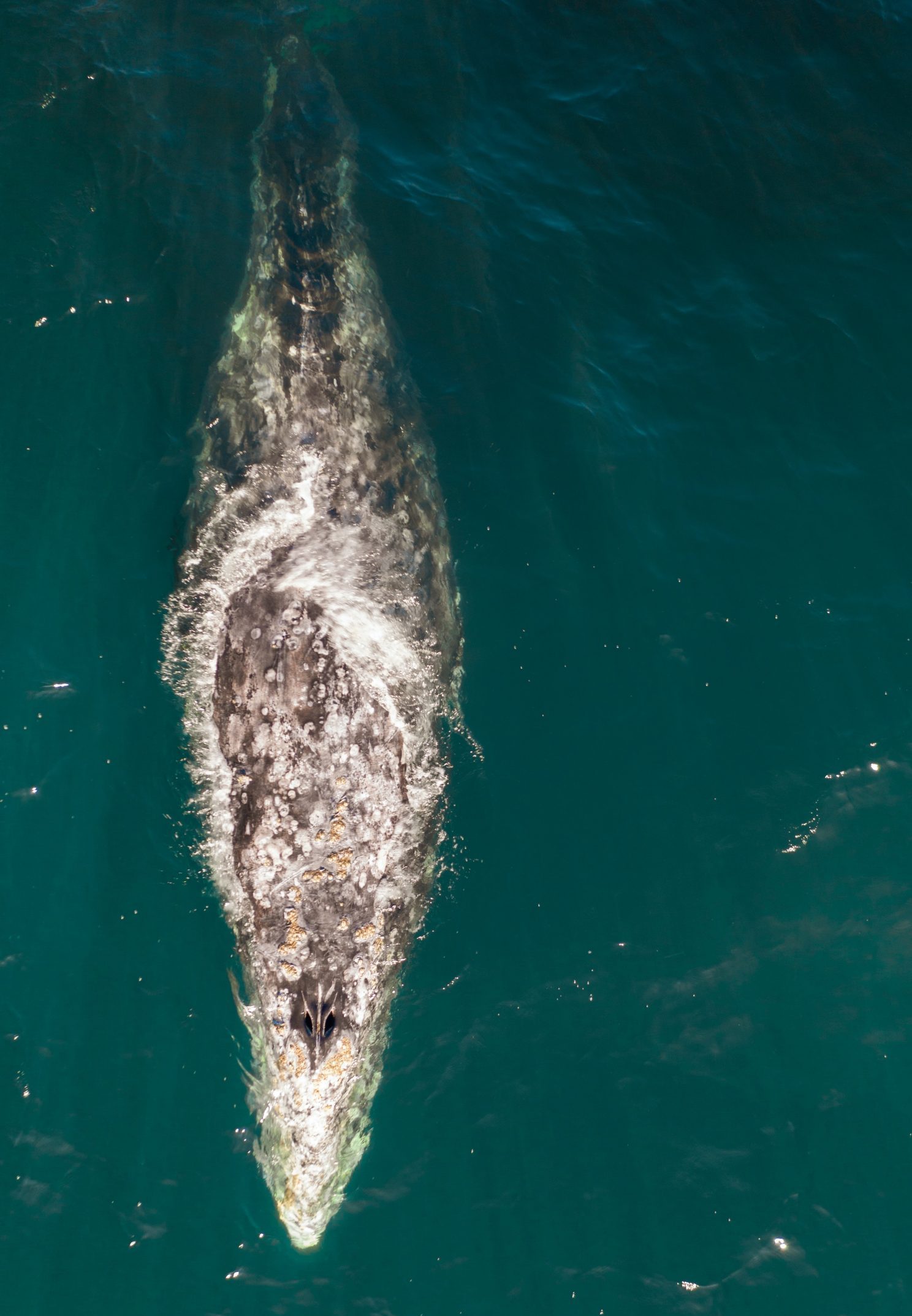 Photo: Dan Meyers Unsplash