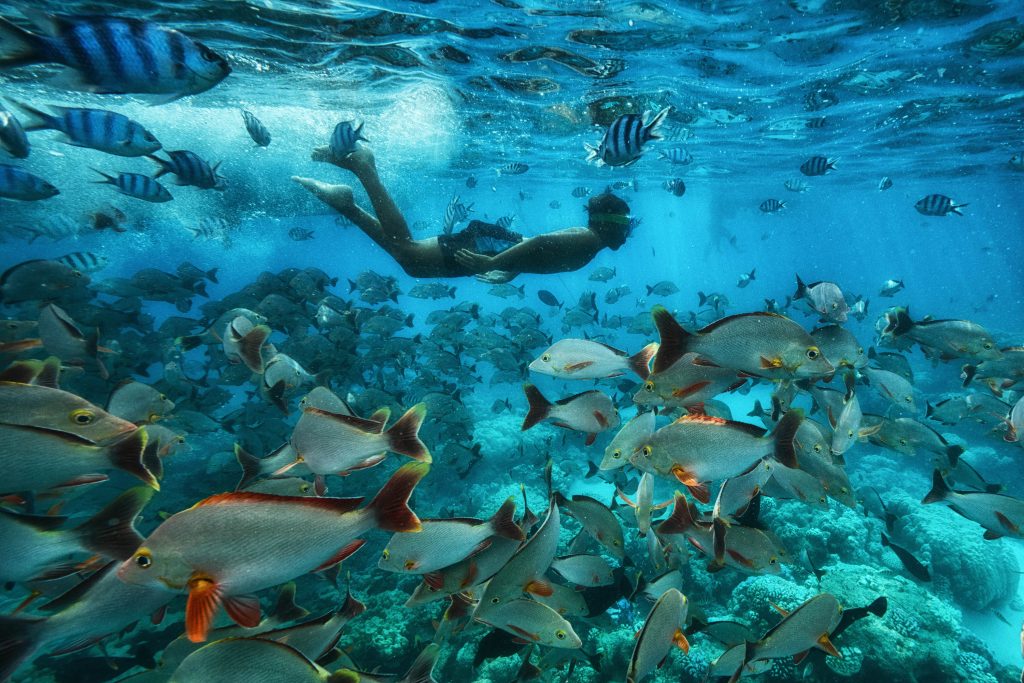 Photo: Cristina Mittermeier/SeaLegacy Rangiroa环礁