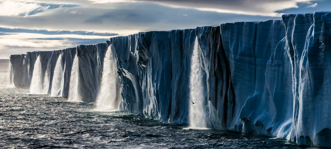 照片：Paul Nicklen